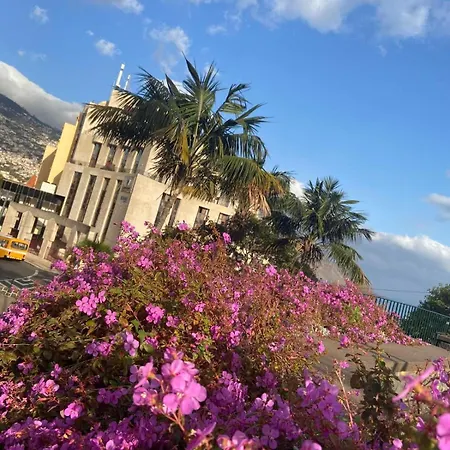 شقة Center Marina View Purple فونشال